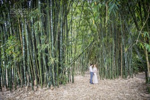 botanic gardens wedding