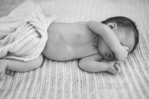 newborn family photography brisbane