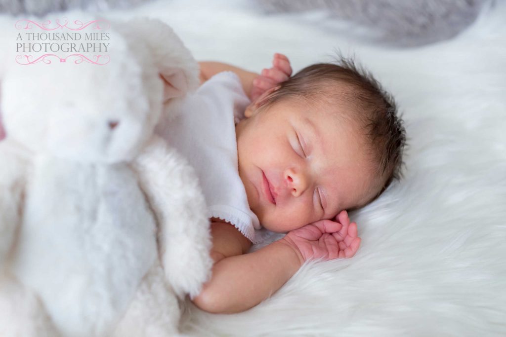 newborn photo prices